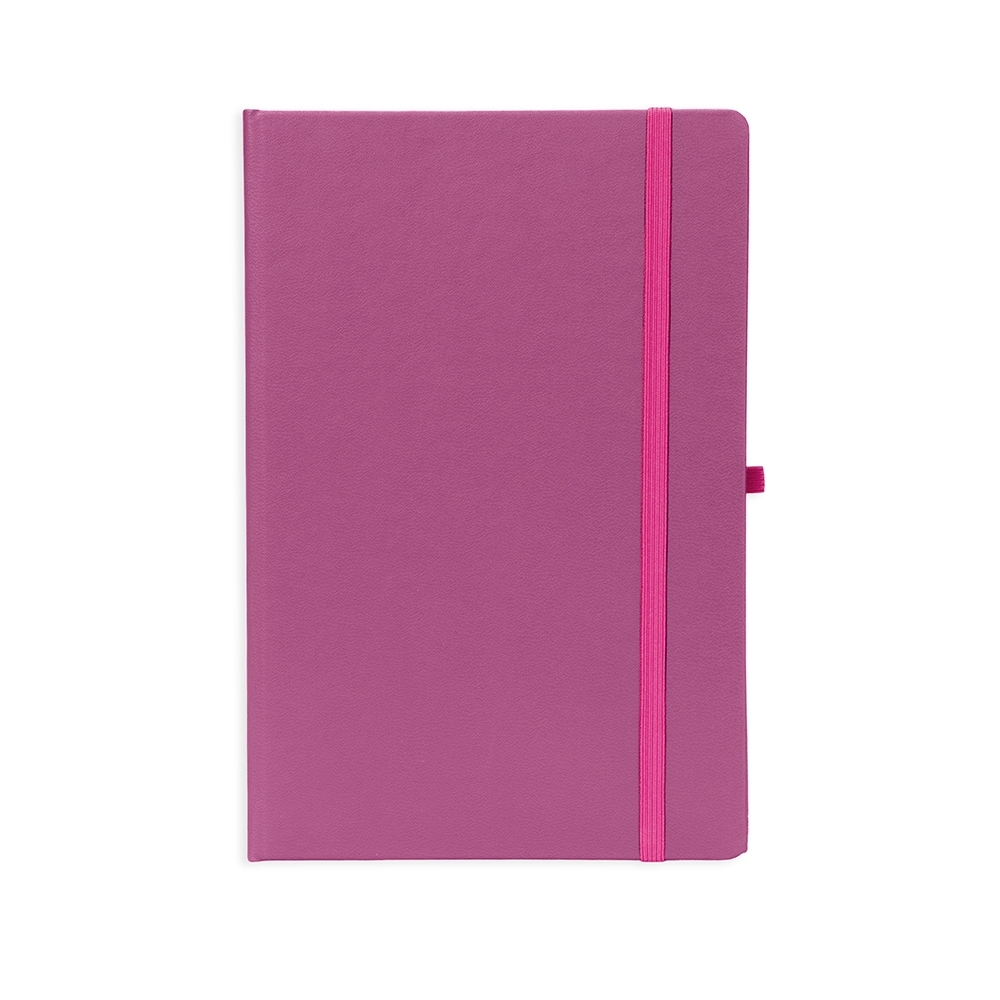 PLANNER CROMATO ANUAL SPX-15096-PNK NA COR ROSA